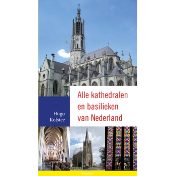 Alle kathedralen en basilieken van Nederland (Paperback) bij Singel 344