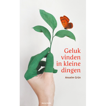 Geluk vinden in kleine dingen (Hardback) bij Singel 344
