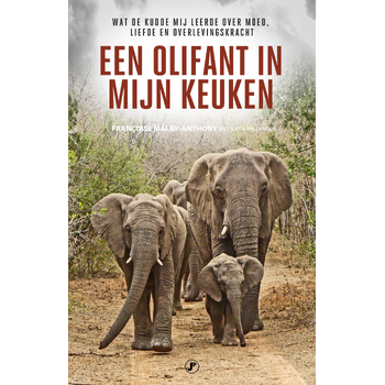 Een olifant in mijn keuken (Paperback) bij Singel 344