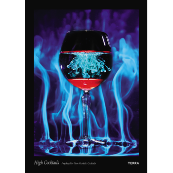 High Cocktails (Hardback) bij Singel 344
