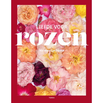 Liefde voor rozen (Hardback) bij Singel 344