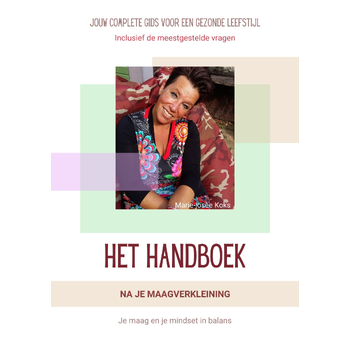 Het handboek na je maagverkleining (Paperback) van Marie-Josee Koks
