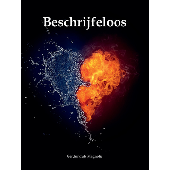 Beschrijfeloos (Paperback) bij Singel 344