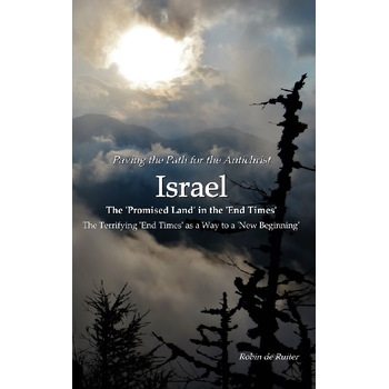 Paving the path for the AntichristI ISRAEL The 'Promised Land' in the 'End Times' (Paperback) bij Singel 344