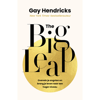 The Big Leap (Paperback) bij Singel 344