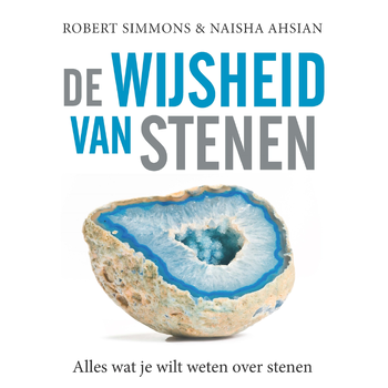 De wijsheid van stenen (Paperback) bij Singel 344