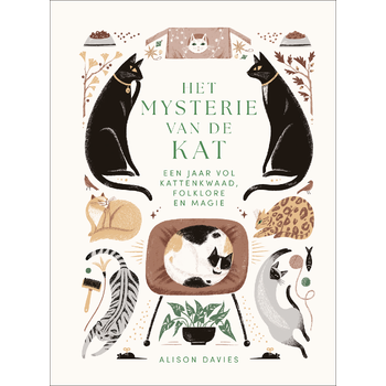 Het mysterie van de kat (Hardback) bij Singel 344