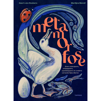 Metamorfose (Hardback) bij Singel 344