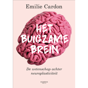 Het buigzame brein (Paperback) bij Singel 344