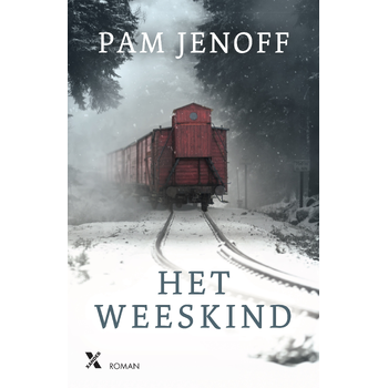 Het weeskind (Paperback) bij Singel 344