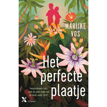 Het perfecte plaatje (Paperback) bij Singel 344