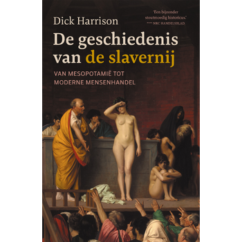 De geschiedenis van de slavernij (Hardback) bij Singel 344