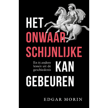 Het onwaarschijnlijke kan gebeuren (Paperback) bij Singel 344