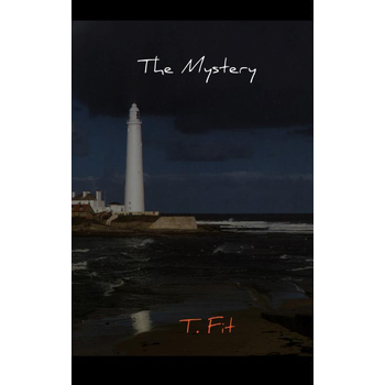 The mystery (Paperback) bij Singel 344