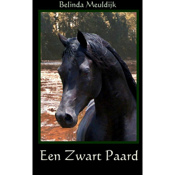 Een zwart paard (Paperback) bij Singel 344