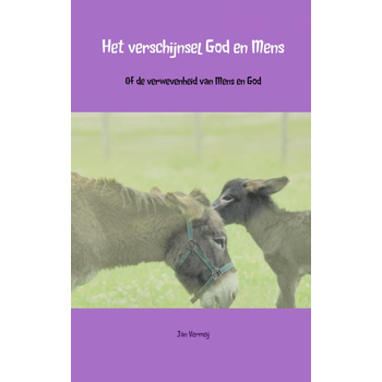 Het verschijnsel God en mens (Paperback) bij Singel 344
