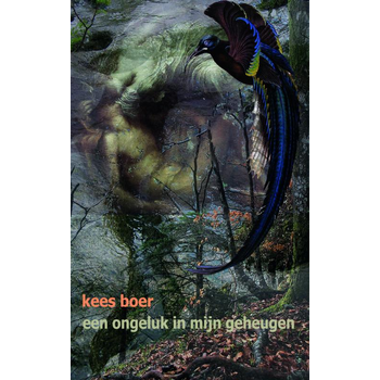Een ongeluk in mijn geheugen (Paperback) bij Singel 344