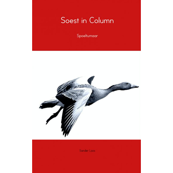 Soest in column (Paperback) bij Singel 344