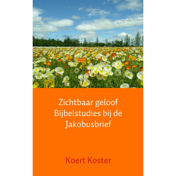 Zichtbaar geloof Bijbelstudies bij de Jakobusbrief (Paperback) bij Singel 344