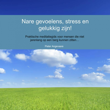 Nare gevoelens, stress en gelukkig zijn! (Paperback) bij Singel 344