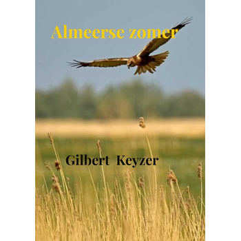 Almeerse zomer (Paperback) bij Singel 344