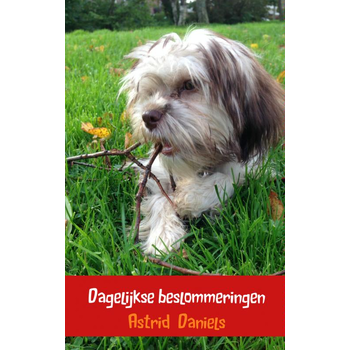 Dagelijkse beslommeringen (Paperback) bij Singel 344