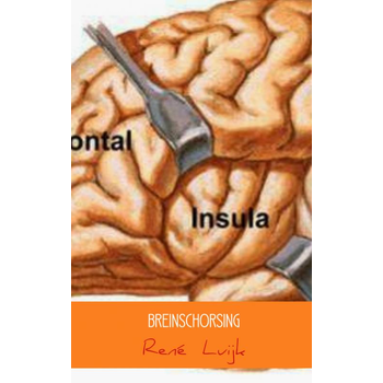 Breinschorsing (Paperback) bij Singel 344