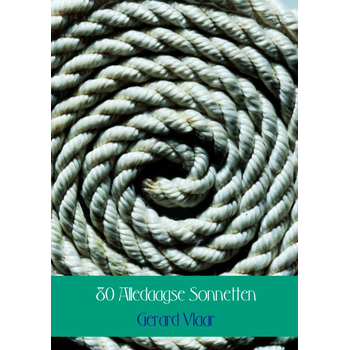 80 alledaagse sonnetten (Paperback) bij Singel 344