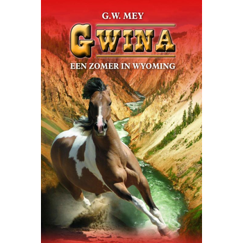 Gwina (Hardback) bij Singel 344