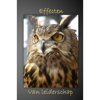 Effecten van leiderschap (Hardback) bij Singel 344