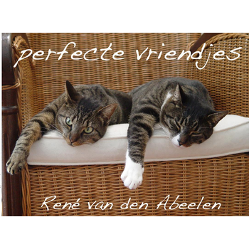 perfecte vriendjes (Paperback) bij Singel 344