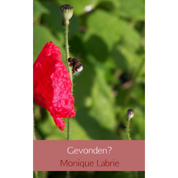 Gevonden? (Paperback) bij Singel 344