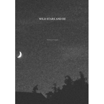 WILD STARS AND HE (Paperback) bij Singel 344