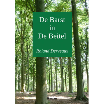 De Barst in De Beitel (Paperback) bij Singel 344