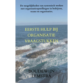 Eerste hulp bij organisatievraagstukken (Paperback) van Boudewijn Lemstra
