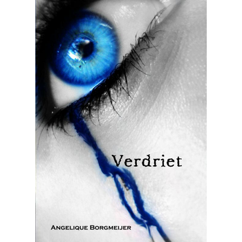 Verdriet (Paperback) bij Singel 344