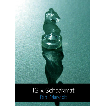 13 x Schaakmat (Paperback) bij Singel 344