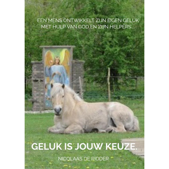 Geluk is een keuze (Paperback) bij Singel 344