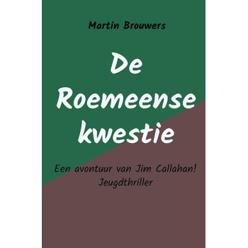 De Roemeense kwestie (Hardback) bij Singel 344