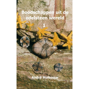 Boodschappen uit de edelsteen wereld (Paperback) bij Singel 344