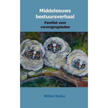 Middeleeuws bestuursverhaal (Paperback) bij Singel 344