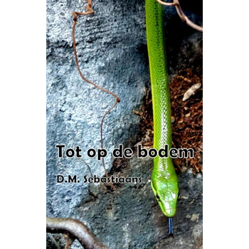 Tot op de bodem (Paperback) bij Singel 344
