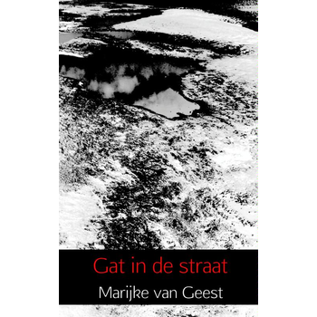 Gat in de straat (Paperback) bij Singel 344
