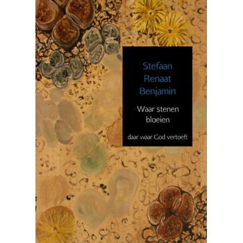 Waar stenen bloeien (Paperback) bij Singel 344
