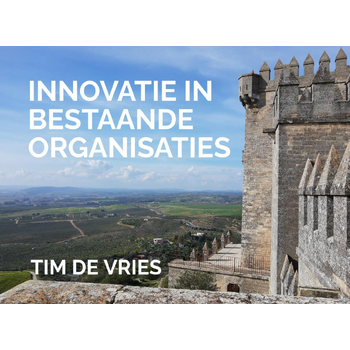 Innovatie in bestaande organisaties (Paperback) bij Singel 344