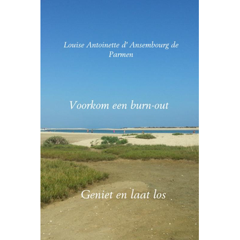 Voorkom een burn-out (Paperback) bij Singel 344