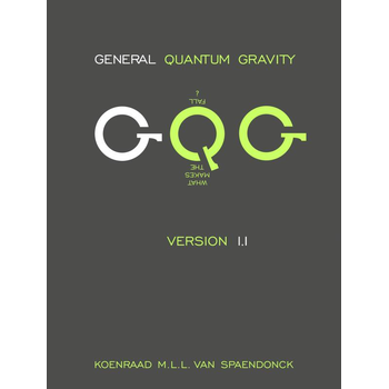 General quantum gravity (Hardback) bij Singel 344