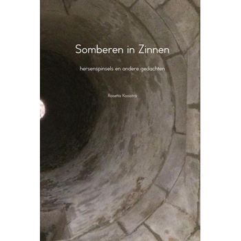 Somberen in Zinnen (Hardback) bij Singel 344