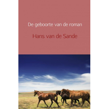 De geboorte van de roman (Paperback) bij Singel 344