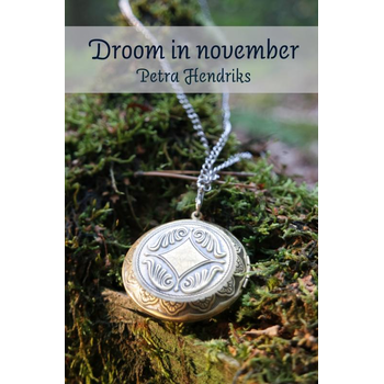 Droom in november (Paperback) bij Singel 344